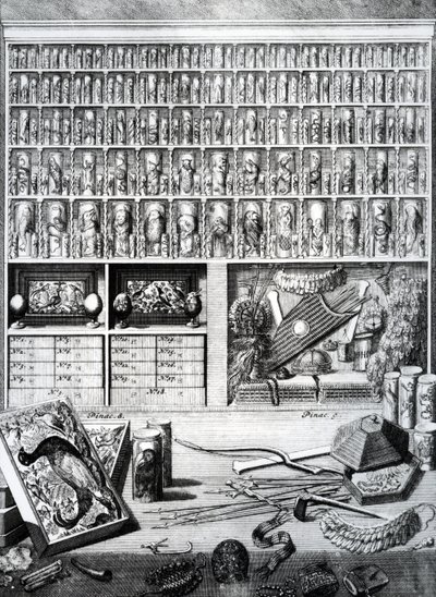 Tabla V de 